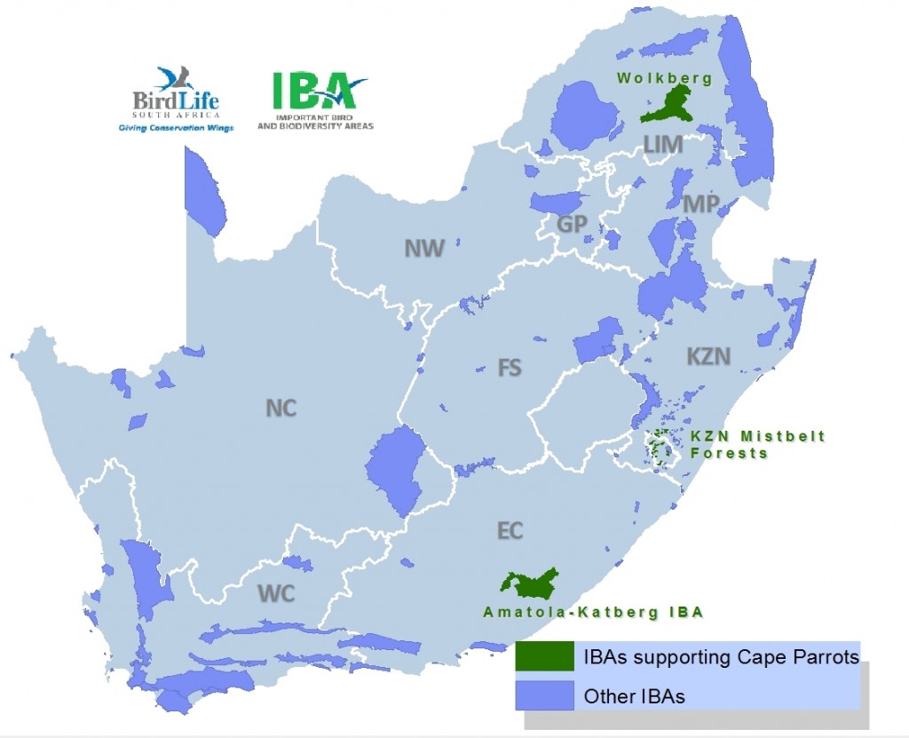 IBA Map